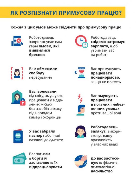 infografika4